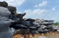 太湖石的形态与特点：水石与干石的对比