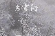 黄山高山茶园：2020年春节的首场雪