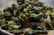 乌龙茶系列：揭秘青茶的奥秘，大红袍是否属于其中？
