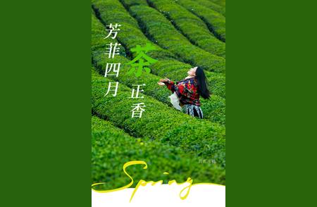 绍兴春季茶游：探索与茶紧密相连的故事