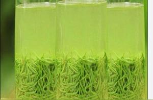 信阳毛尖：中国绿茶的珍品